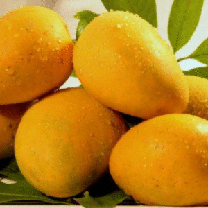 Imam Pasand Mango